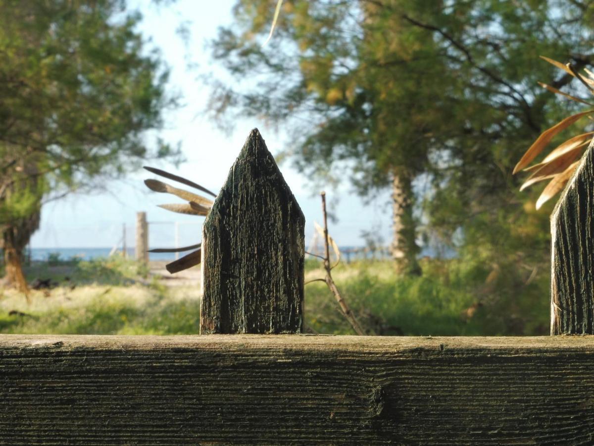 Palm Tree House By The Beach Skhoinos Exterior foto